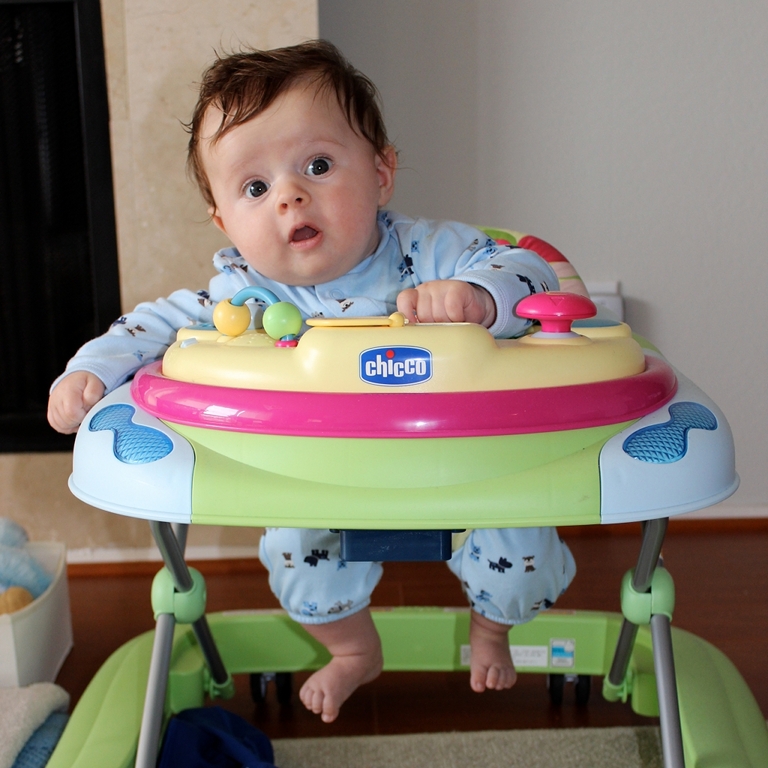 baby walkers at kohl's