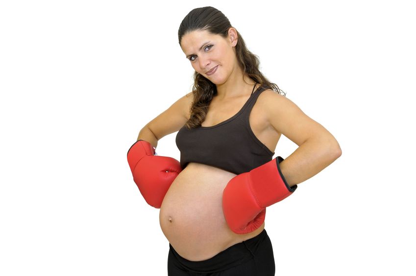 PregnantBoxer