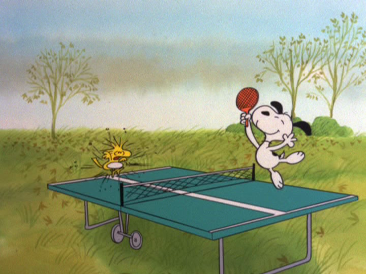 SAMMY: That's a ping-pong table. He thought it wasn't.