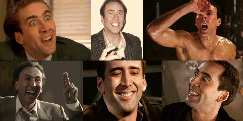 learning styles are as crazy as nic cage