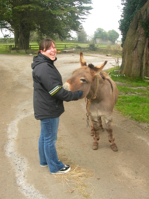 Getting chased by big, wooly donkeys...